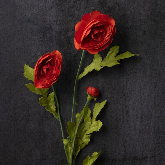 Ashland® Ranunculus Spray